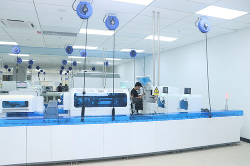 AI深度赋能 创新驱动下的新产业公司效率提升与开发转型